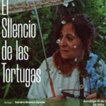 DOMINGO 16 DE MARZO, 20 Y 30 HS.: TEATRO: "EL SILENCIO DE LAS TORTUGAS"