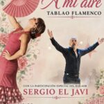 SABADO 17 DE OCTUBRE, 21HS. TABLAO FLAMENCO "A MI AIRE"